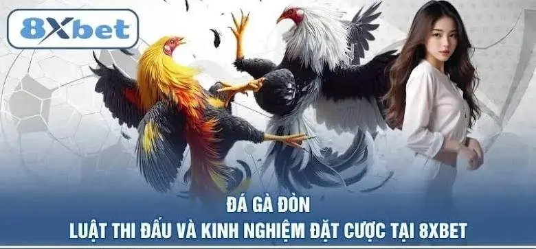 Giới Thiệu Về 8xbet
