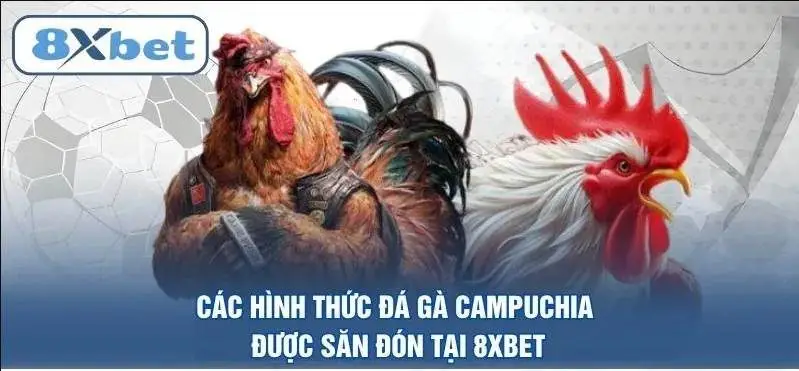 Lợi Ích Và Hạn Chế Khi Chơi Đá Gà Tại 8xbet