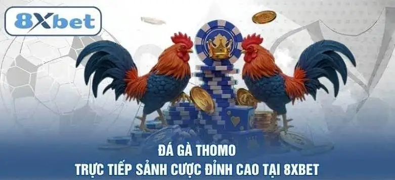 Cách Thức Tham Gia Đá Gà Tại 8xbet