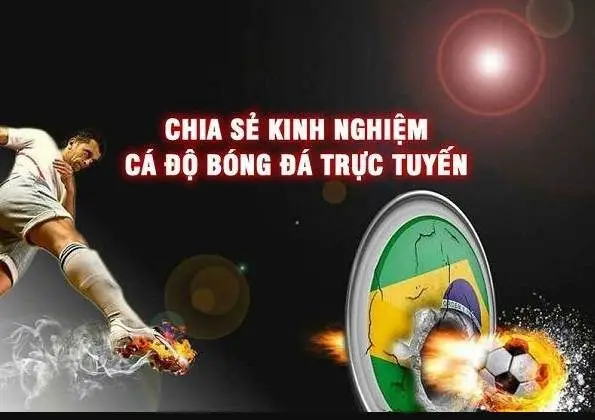 Hiểu Biết Về Thị Trường Cá Cược
