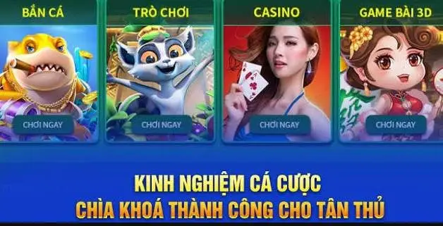 Học Hỏi Từ Những Người Có Kinh Nghiệm