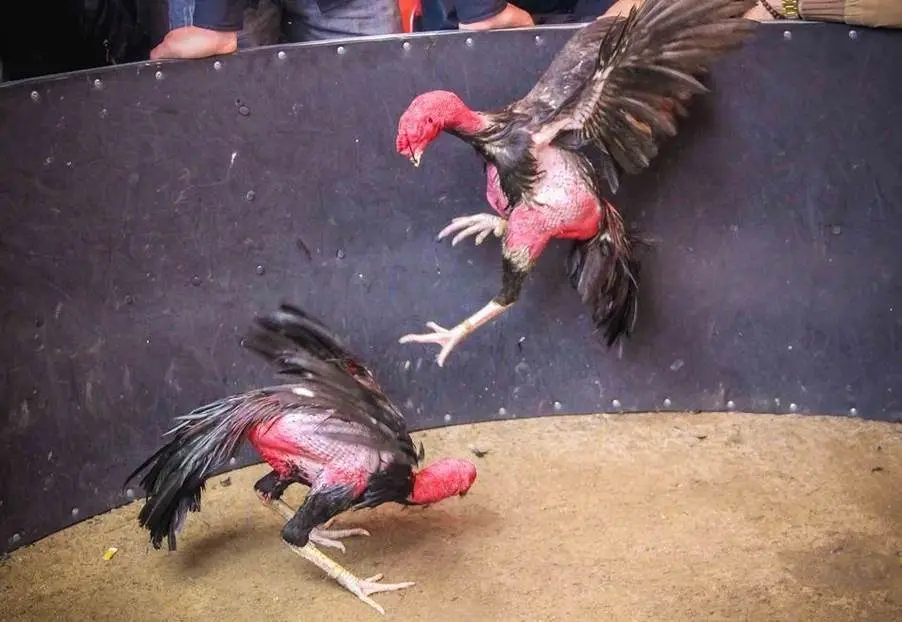 Quản Lý Ngân Sách