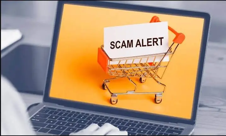 Làm Gì Khi Phát Hiện Trang Web Giả Mạo?